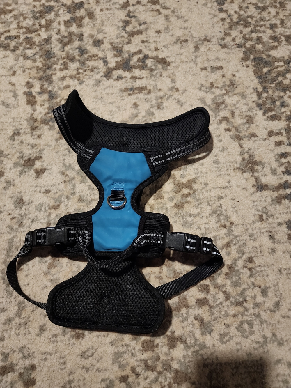Adjustable Blue & Black Dog Harness with Front and Back D-Rings- Size Medium
